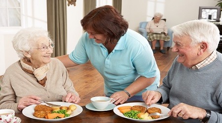Elder nutrition planning home care